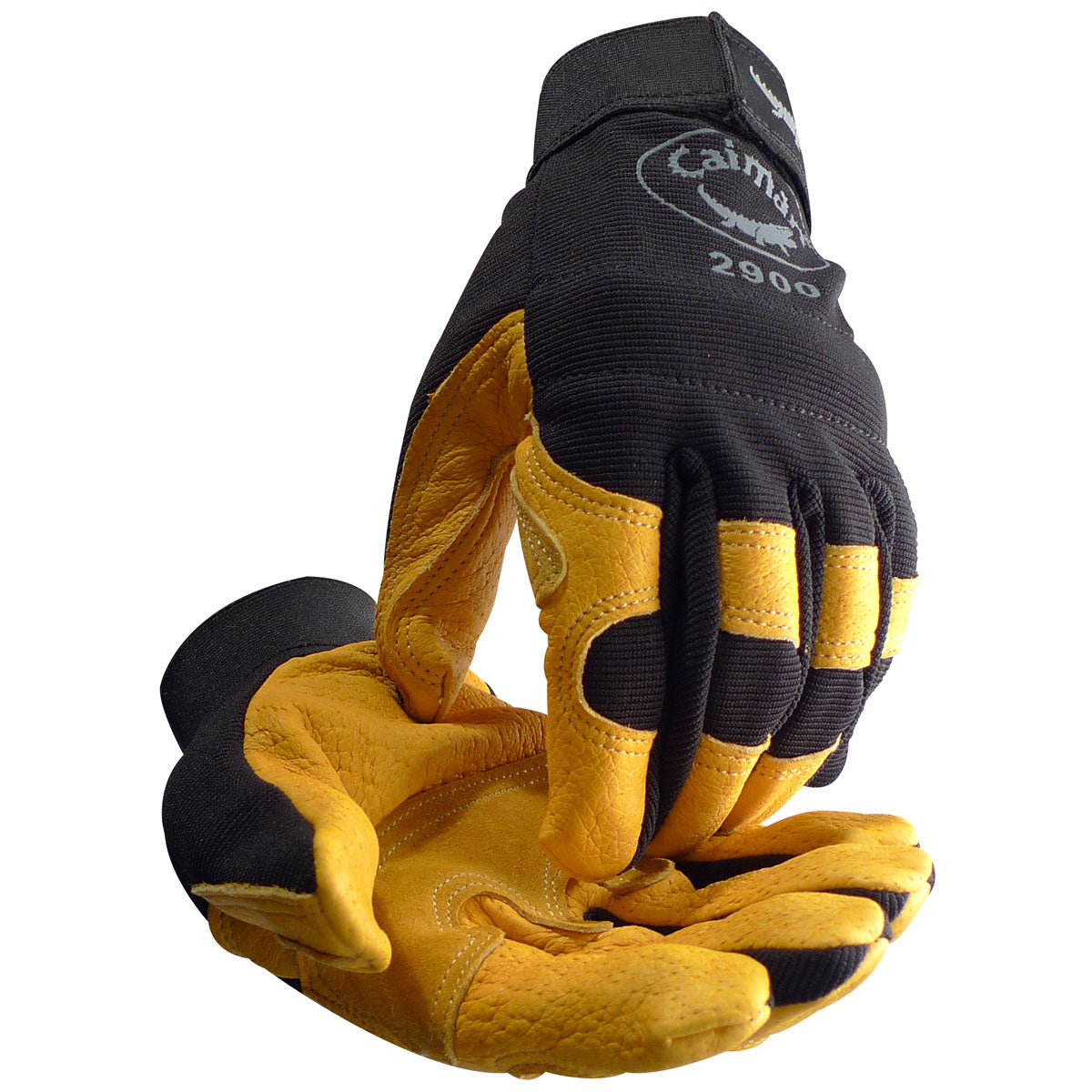 2900 Balaclava