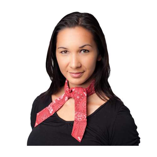 393-100 Evaporative Cooling Bandana