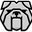 BDG Safety logo