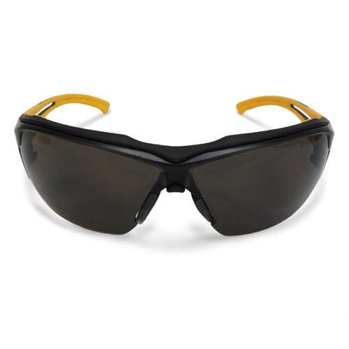 DPG108 DPG108 Renovator® Protective Eyewear