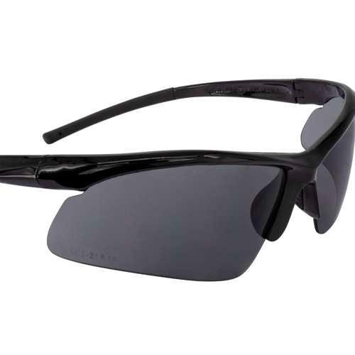 DPG51 DPG51 Radius™ Protective Eyewear