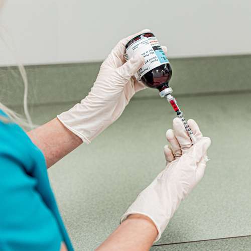 RWG9115 RWG9115 5 Mil Latex Disposable Examination Glove