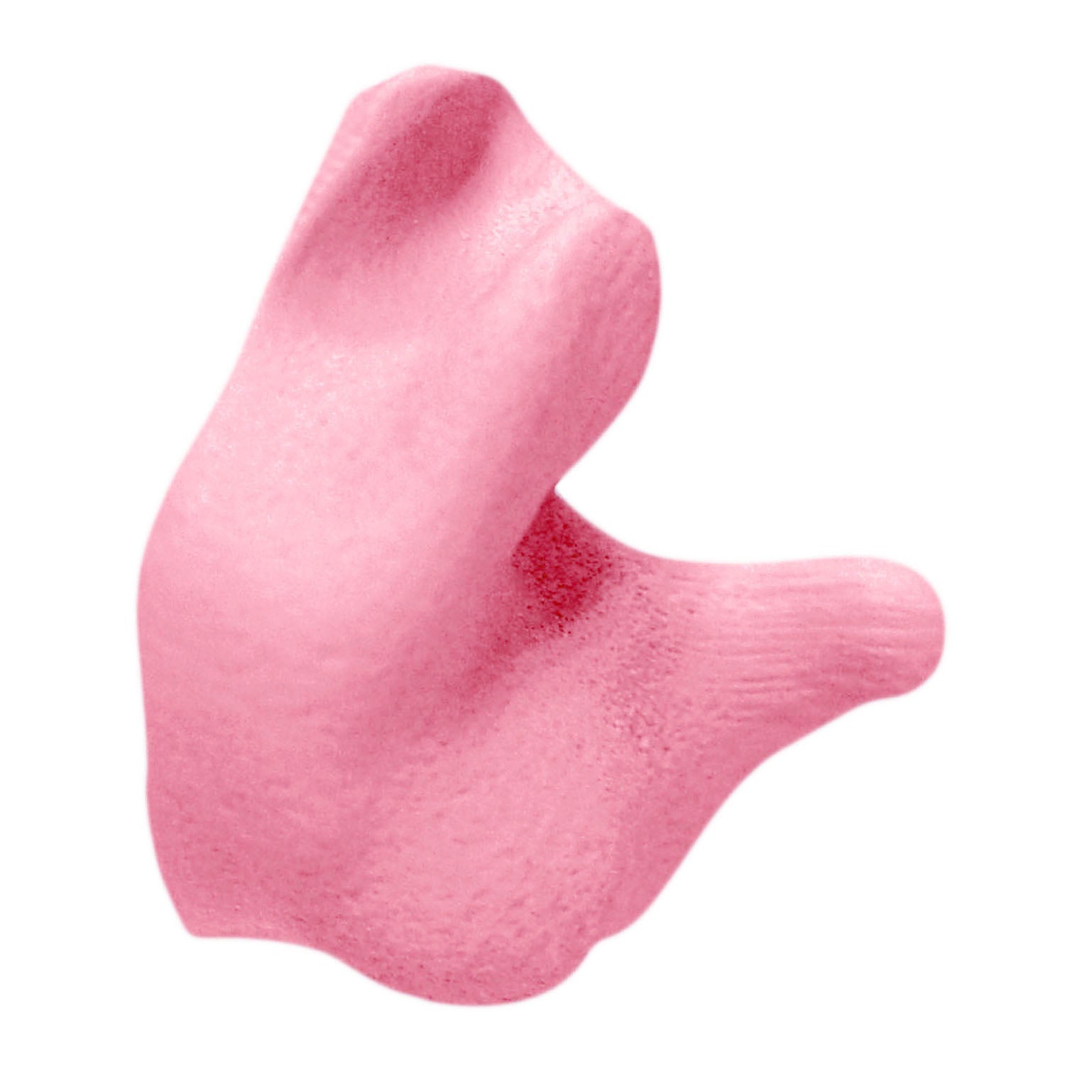 Radians CEP001 Custom Molded Earplugs - Hearing Protection
