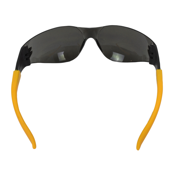 Radians DPG54 DPG54 Protector™ Protective Eyewear - Safety Glasses