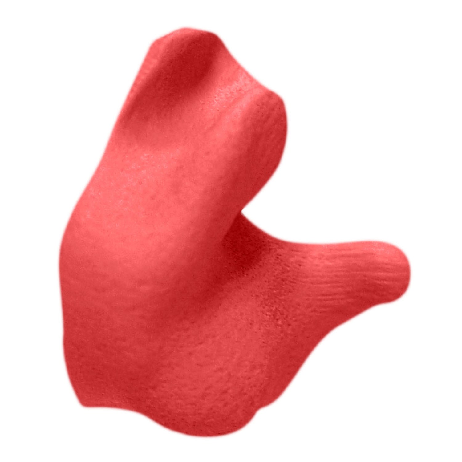 Radians CEP001 Custom Molded Earplugs - Hearing Protection